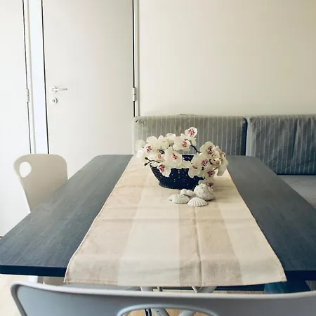 Camper Village 캠프장 *